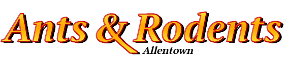 Allentown Ant Exterminator & Rodent Control Company Logo